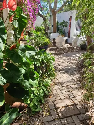 a walkway in a garden with plants and flowers at Guest House Frame Ace in Bellville