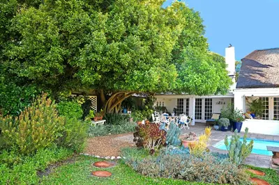 a garden with a large tree and a swimming pool at The Garden View Suite in Franschhoek