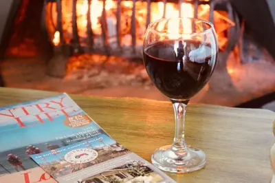 a glass of wine next to a magazine and a fireplace at Cheverells Farm, Kiku & Braeburn Cottage in Grabouw