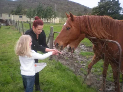 a young girl petting a brown horse by a fence at Summerhill Guest Farm in Worcester
