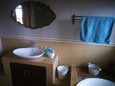 a bathroom with a sink and a mirror and a toilet at Die Pastorie in Caledon