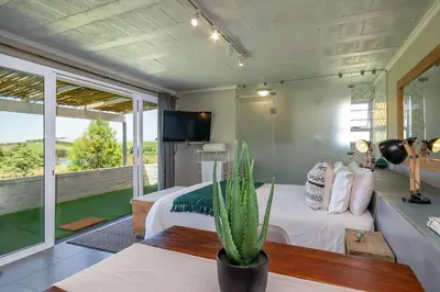 a bedroom with a bed and a television and a cactus at Wildlife Retreat on a Wine-Farm in Stellenbosch