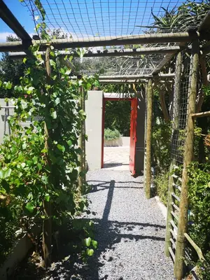 a pergola with a red door in a garden at Almond Cottage Bed & Breakfast in Somerset West