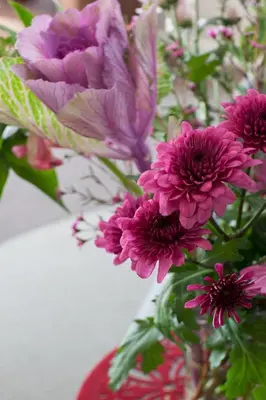 a vase filled with purple flowers in at Manhattan Towers 507 by CTHA in Cape Town