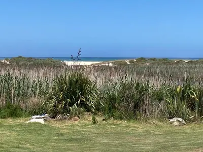 a field of tall grass with the ocean in the background at Beach Cottage in Kleinmond