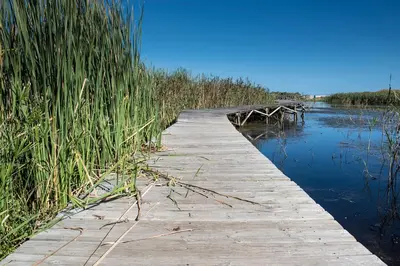 a wooden bridge over a body of water at Beach Cottage in Kleinmond