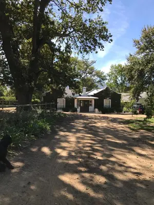 a dog sitting in the shade of a tree in front of a house at Vredenhof Farm Cottage in Elgin
