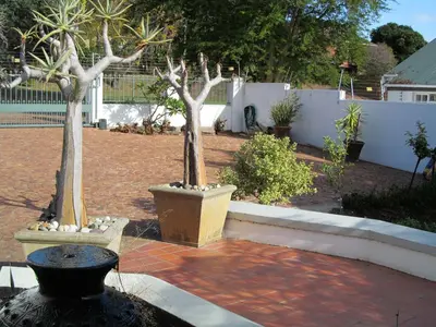 two trees in pots sitting on a brick patio at Luxury Secure Flat Apartment in Plattekloof