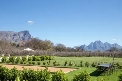 a garden with a picnic table and an umbrella at La Chataigne Wines & Guest Cottages in Franschhoek
