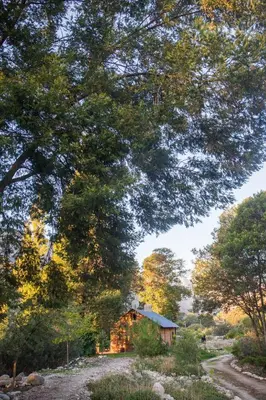 a small house in the middle of a forest at White Bridge Farm Accommodation in Wolseley