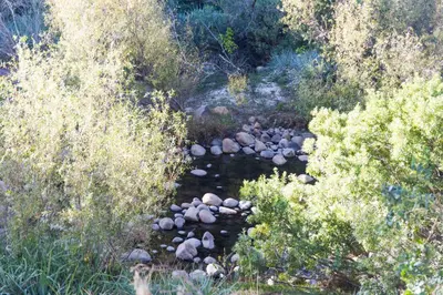 a stream in the middle of a field with bushes at White Bridge Farm Accommodation in Wolseley