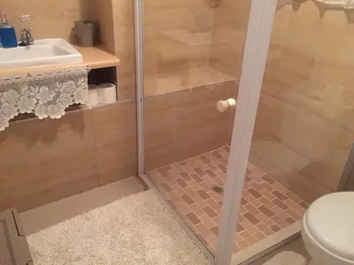 a bathroom with a shower with a toilet and a sink at Marshrose Accommodation in Bellville