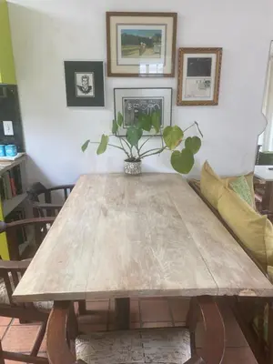 a wooden table with a potted plant on top of it at Dancers' Cottages in Cape Town