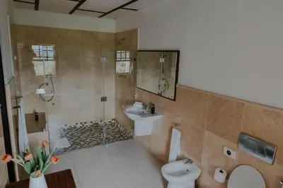a bathroom with a shower and a toilet and a sink at Cana Vineyard Guesthouse in Paarl