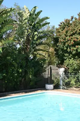 a swimming pool with a palm tree next to it at Panorama Self Catering in Panorama