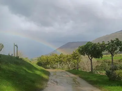 a dirt road with a rainbow in the distance at Swaynekloof Farm in Botrivier