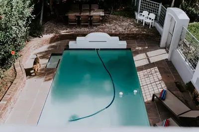 a swimming pool with a dog standing next to it at The Victorian Goose in Cape Town