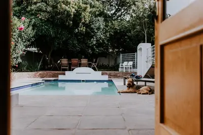 a dog laying next to a swimming pool at The Victorian Goose in Cape Town