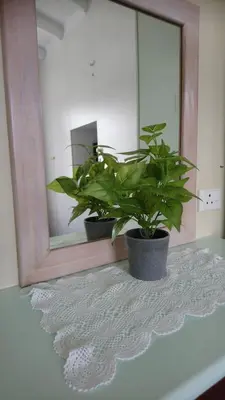 a mirror and a potted plant on a table at Welterusten Guesthouse in Strand