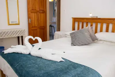 two swans sitting on top of a bed at De Helling Self Catering in Brackenfell