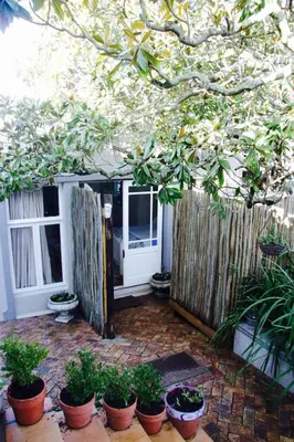 a patio with potted plants and a wooden fence at The Birdhouse in Cape Town
