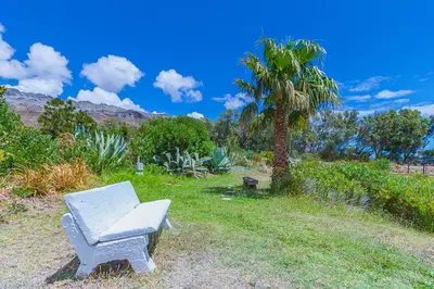 a bench sitting in the grass next to a palm tree at Kingfisher Hollow in Gordonʼs Bay