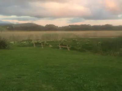 a field with two benches in the grass at Matshana Lodge in Hermanus