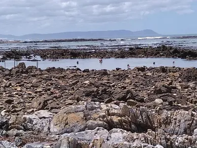 a rocky beach with people swimming in the water at Matshana Lodge in Hermanus