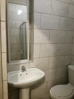 a bathroom with a sink and a toilet at Hirondelle @ 45 Old Paarl in Bellville