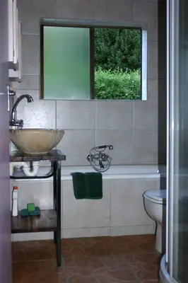 a bathroom with a sink and a toilet and a window at Kierie Kwaak Self Catering in Stellenbosch