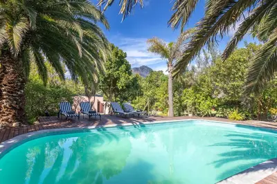 a swimming pool with two chairs and palm trees at Africa Lodge in Somerset West