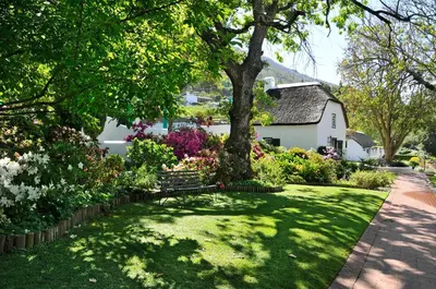 a garden with a tree and flowers in front of a house at Grande Roche Hotel in Paarl