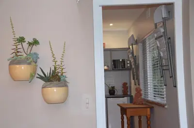 a hallway with two potted plants on the wall at Anni Bos in Stellenbosch