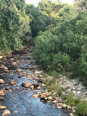 a stream of water with rocks and trees at At Home in Mostertsdrift in Stellenbosch