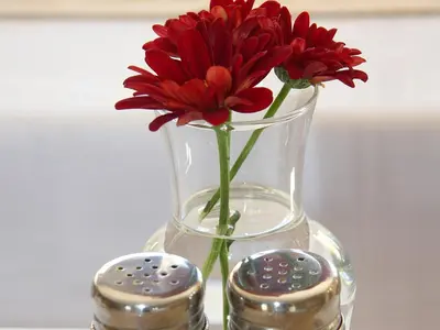 a vase with two red flowers in it at Eversview Guesthouse in Durbanville