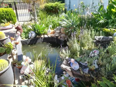a garden with a pond and many plants at Mountainia Inn in Worcester