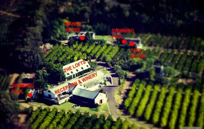 Gallery image of Marianne Wine Estate in Stellenbosch