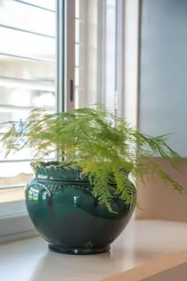 a green vase sitting on a table with a plant at 29 Earlibelle in Stellenbosch