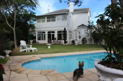 a dog sitting in a pool in front of a house at Brooklands House in Cape Town