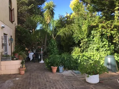 a courtyard with potted plants and palm trees at Geranium Studio in Somerset West