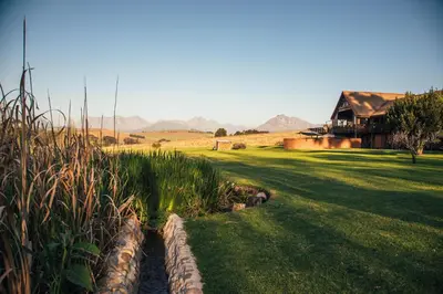 a yard with a house and some grass and a house at The Log Collective in Stellenbosch