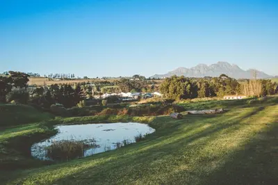 a pond in a field with mountains in the background at The Log Collective in Stellenbosch