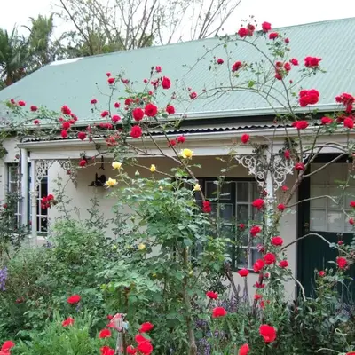 High Hopes
