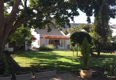 a white house with a green yard with a tree at Acorn Cottage Hermanus in Hermanus