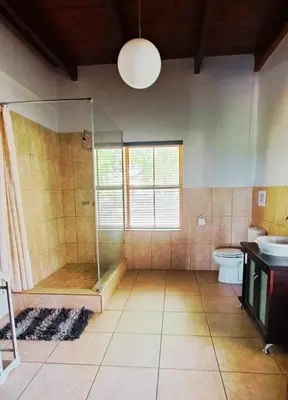 a bathroom with a shower and a toilet and a sink at Mountainview Vineyards in Robertson