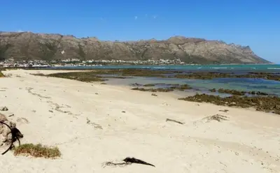 a sandy beach with the ocean and mountains in the background at 20 Cayman Beach, Gordon's Bay in Gordonʼs Bay
