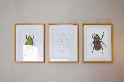three framed pictures of bugs on a wall at Olive tree private rooms in Stellenbosch- No Load Shedding in Stellenbosch