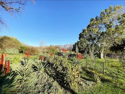 a garden with red plants in a field at Olive and Vine Farm Cottage in Franschhoek