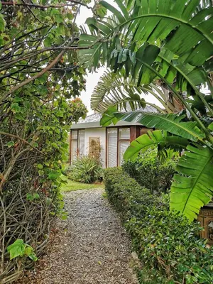 a garden path leading to a house with large green plants at Kennedys Beach Villa in Hermanus