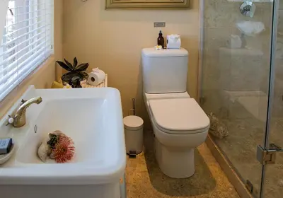 a bathroom with a toilet and a sink with a pineapple in it at Kennedys Beach Villa in Hermanus